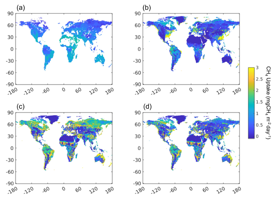 New publication on Journal of Geophysical Research: Biogeosciences